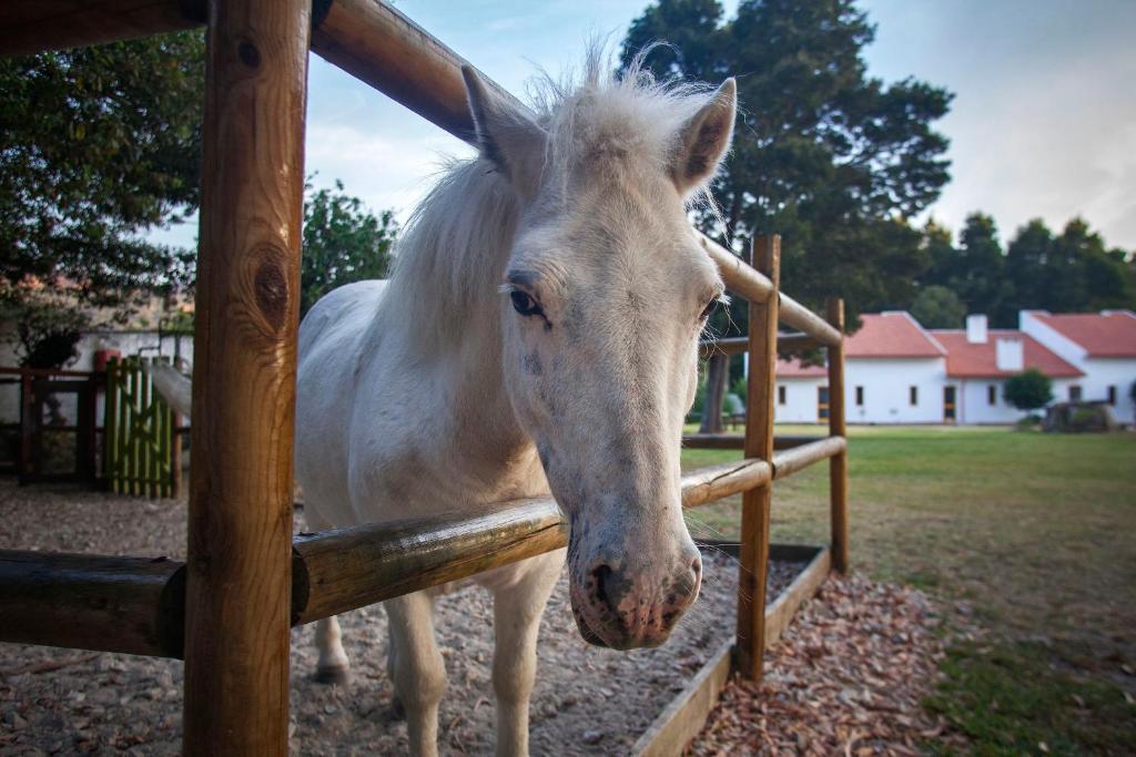 Aldeamento Turistico Do Camarido, Nature & Beach Resort Caminha Zewnętrze zdjęcie
